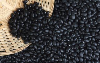 healthy protein in black beans