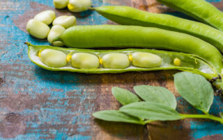 nutrition in lima beans