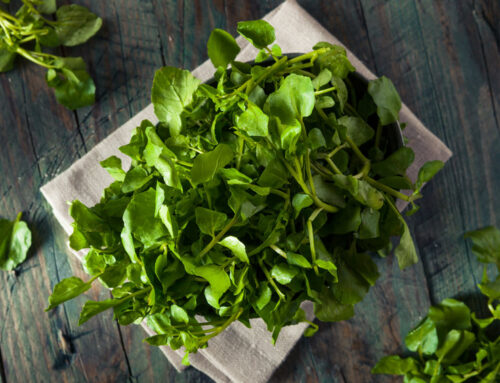 What is Watercress?