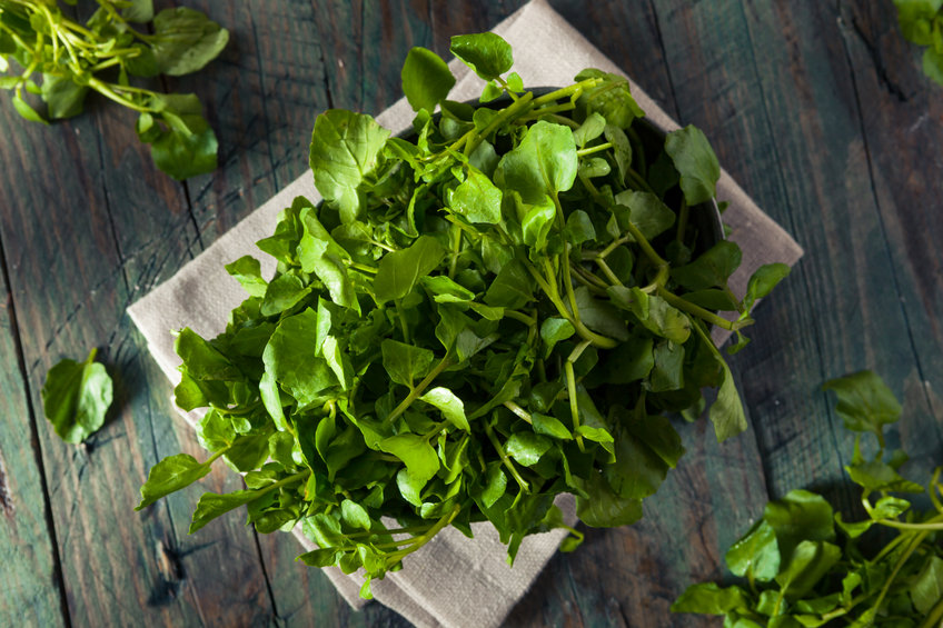 what is watercress