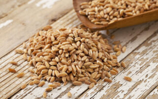 what is farro?