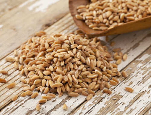 What is Farro?