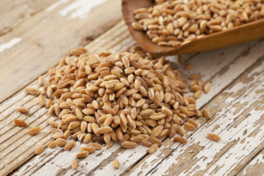 what is farro?