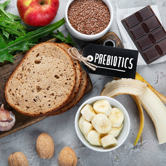 what are prebiotics?