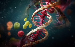 genes and nutrition