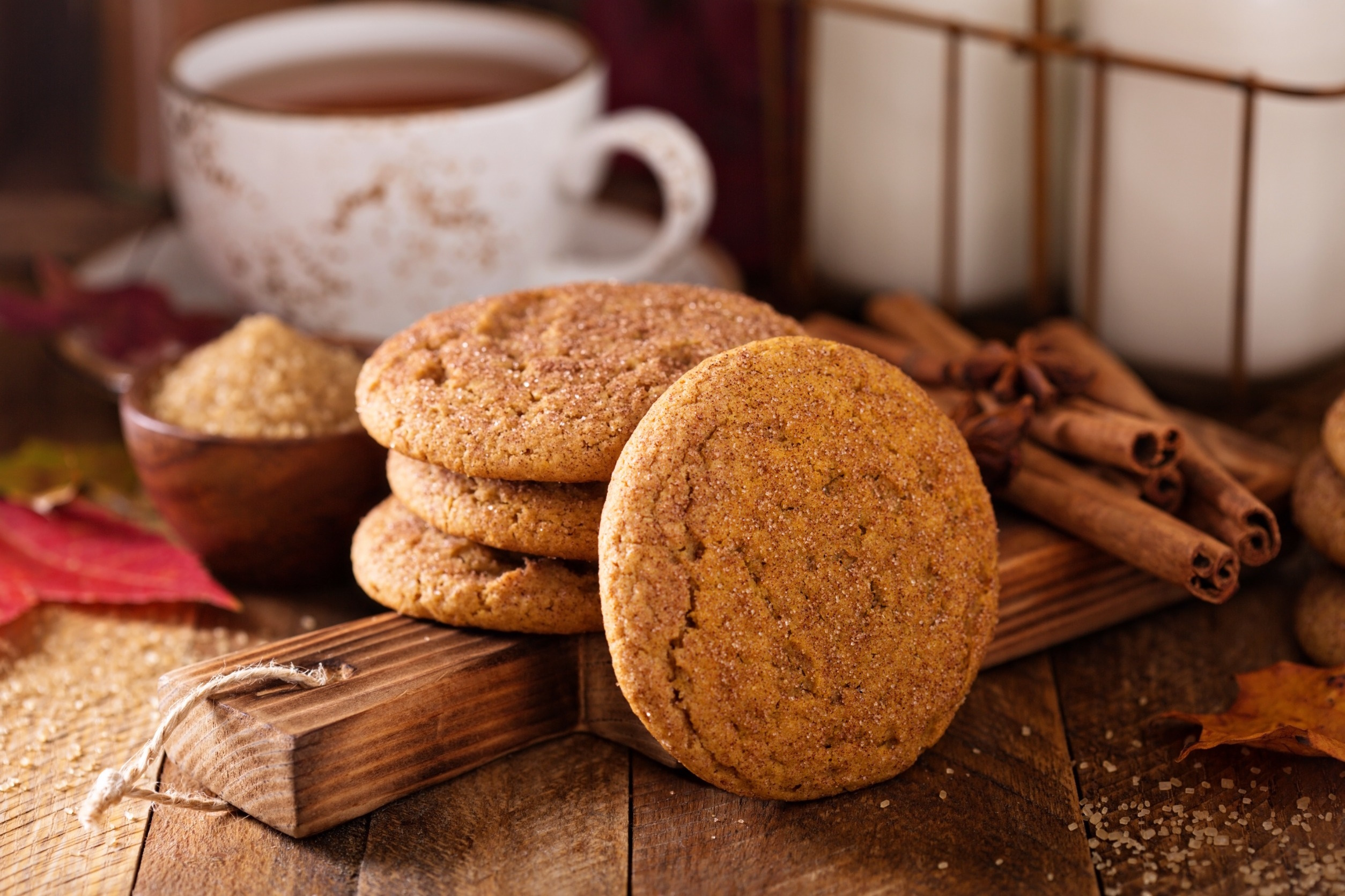 healthy snickerdoodles