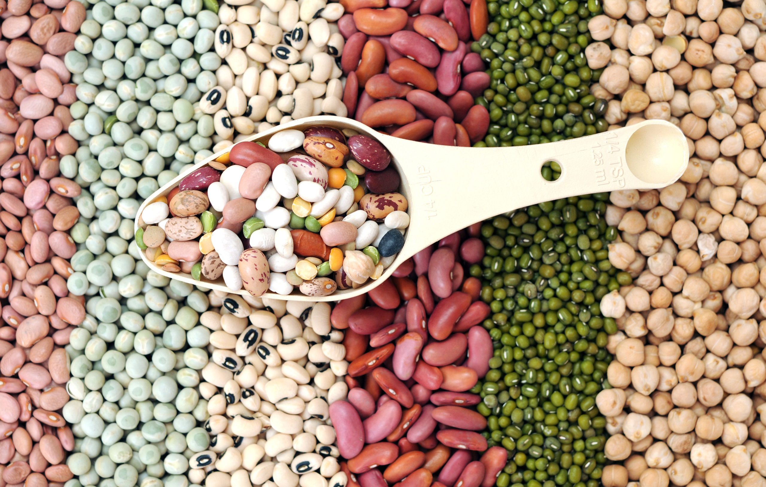 USDA recommends eating more beans