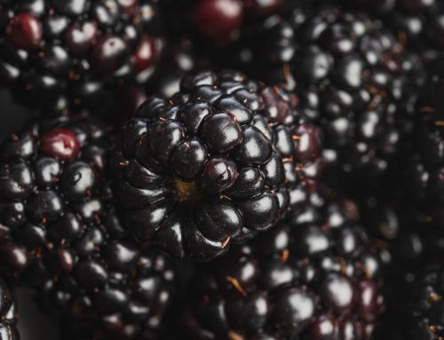 Easy Blackberry Cobbler – A Healthy Summer Dessert!