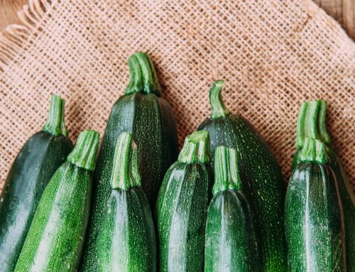 Healthy Grilling Recipe: Low Carb Hot Dog with Zucchini Buns